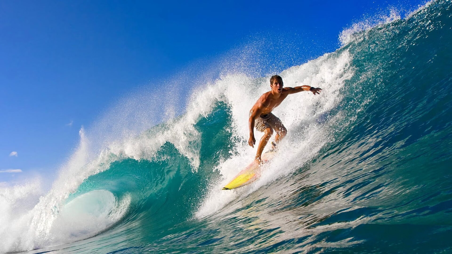 罗莎在射箭世界杯上海站女子复合弓个人赛中获得第四名,罗莎 射箭